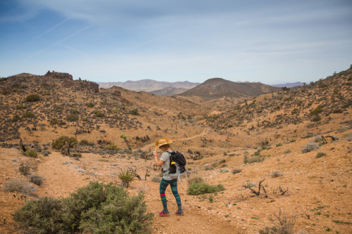 Joshua Tree National ParkWe backpacked during sunset and found a lovely spot to set-up camp. The fol