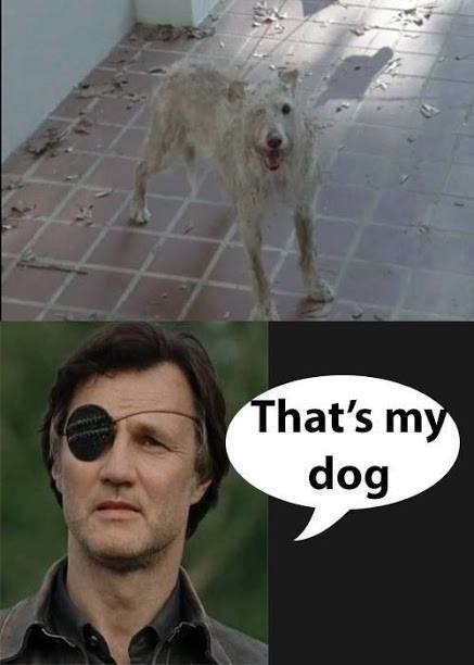 The resemblance is dead-on