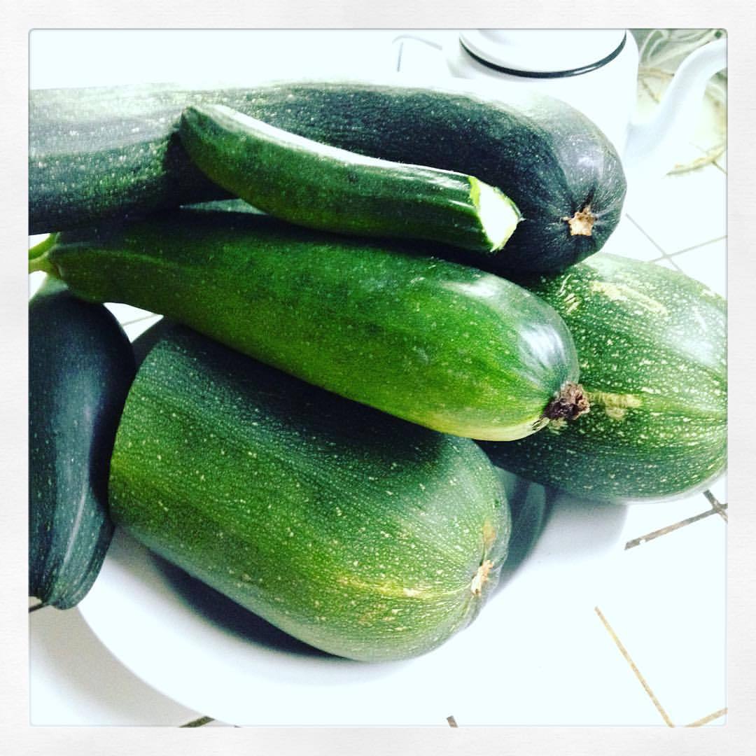 Festival de courgettes!