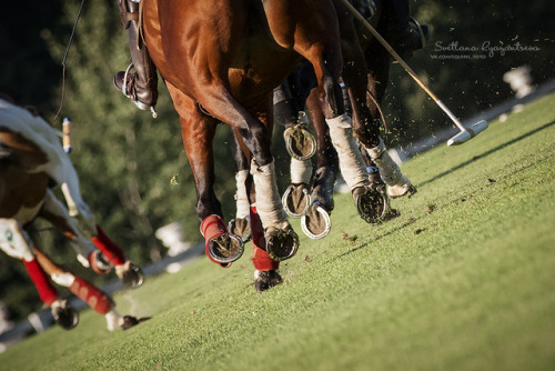 beautifulklicks - Svetlana RyazantsevaHorse polo. Moscow Polo...