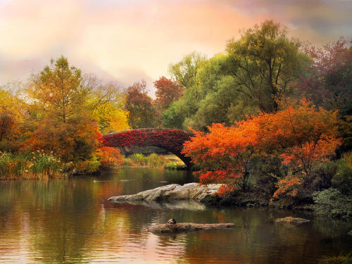 florealegiardini: Autumn in Central Park ~ Jessica Jenney