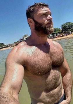 thefurryforest:
