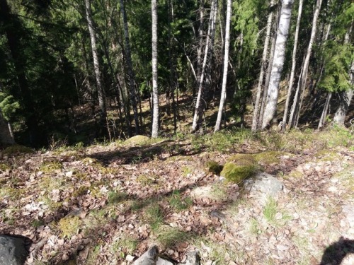 Rapola Hill Fort (Finland)Hill forts or “castles” were places were people took refuge during a time 