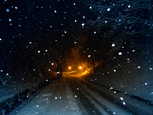 tulipnight:Lonely Roads by pinktigger