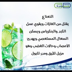 healthcapsule:  #النعناع #الغازات