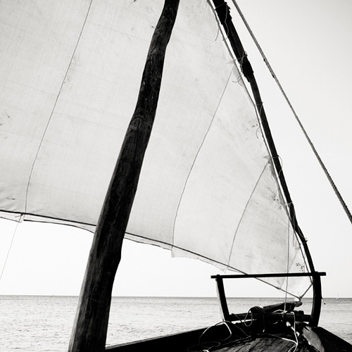 3wings:ZanzibarJosef Hoflehner