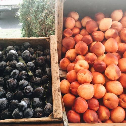 herkindoftea:  Summer + farmers markets + the margarita pizza that’s not pictured. (at Angels 