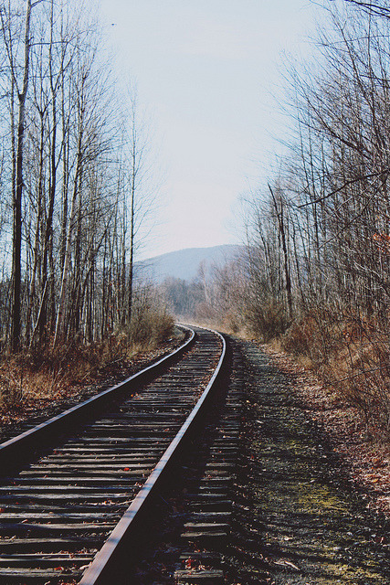 arcanja: sem título by Emily Boyer Photography on Flickr.