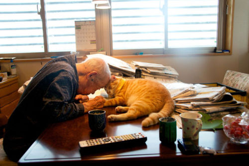 catsbeaversandducks:I Got A Cat For My Sick And Grumpy Grandpa, And He Turned His Life Upside Down“I