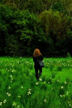  Promenade plantée