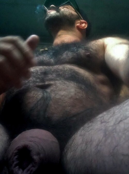 hairyhornypig:  superdirty2-hairy-dudes: Bearded and chest fur combo - 068