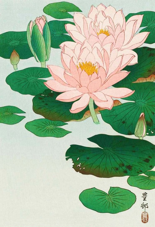 Water Lilies by Ohara Koson (Japanese, 1878–1945)「睡蓮」小原古邨 | 昭和時代（1920ｓ) ボストン美術館蔵