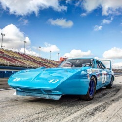 musclecarspics:@sharkvspolarbear | ‘70 Superbird |#musclecarspictures #v8 #follow #goodtimes #musclecar #classic #1970 #plymouth #superbird #nascar #sprintcup #mopar #moparornocar #track