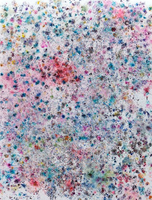 likeafieldmouse:  Dan Colen - Psychotic Reaction (2011) - Flowers and gesso on canvas 