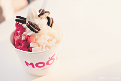 -kokoro:  Frozen yogurt ( by  Photo Series