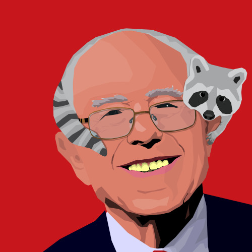 Asked a friend what animal Bernie Sander’s hair would be. He answered raccoon without a second’s hes