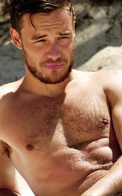 Malecelebarmpits:  Liam Payne 2