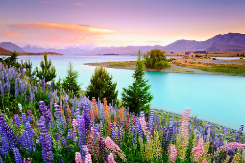 ponderation:Lake Tekapo, New Zealand by AtomicZen
