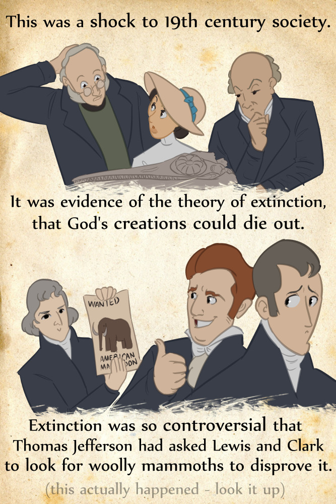 rejectedprincesses:  Mary Anning (1799-1847): the Princess of Paleontology TONS more