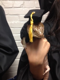 grey-marsh:  A girl at my biology department graduation brought a lizard that she adopted from her lab and made it a little cap and gown. The announcers called the lizard’s name too when they called the girl up to get her diploma.This was pretty much