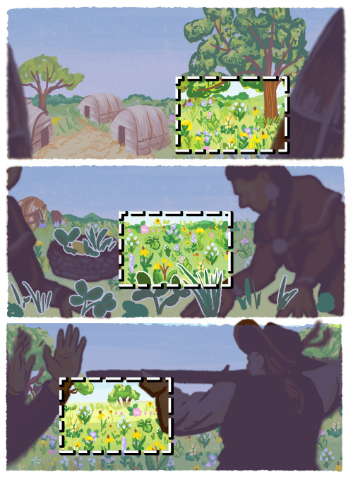 Thinking About What Is And What Isn't Allowed In Frame With Reference Ecosystems In Prairie Restoration