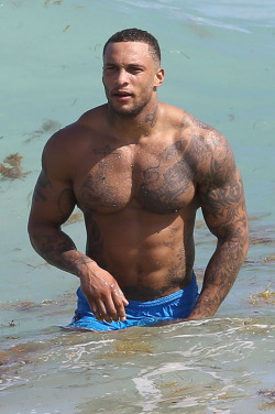 shirtlessmalecelebs:  David McIntosh