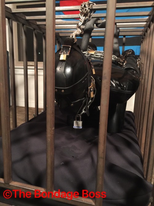 thebondageboss: Thursday, September 22, 2016 10 PM The Seattle pig arrived and is safely locked away