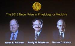 breakingnews:  Nobel Prize in medicine awarded to 2 Americans and a German AP: Scientists from Yale, Stanford and UC Berkeley have been awarded the 2013 Nobel Prize in medicine for research into the transport system of our cells.  The recipients of the