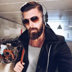 Beard Necessities