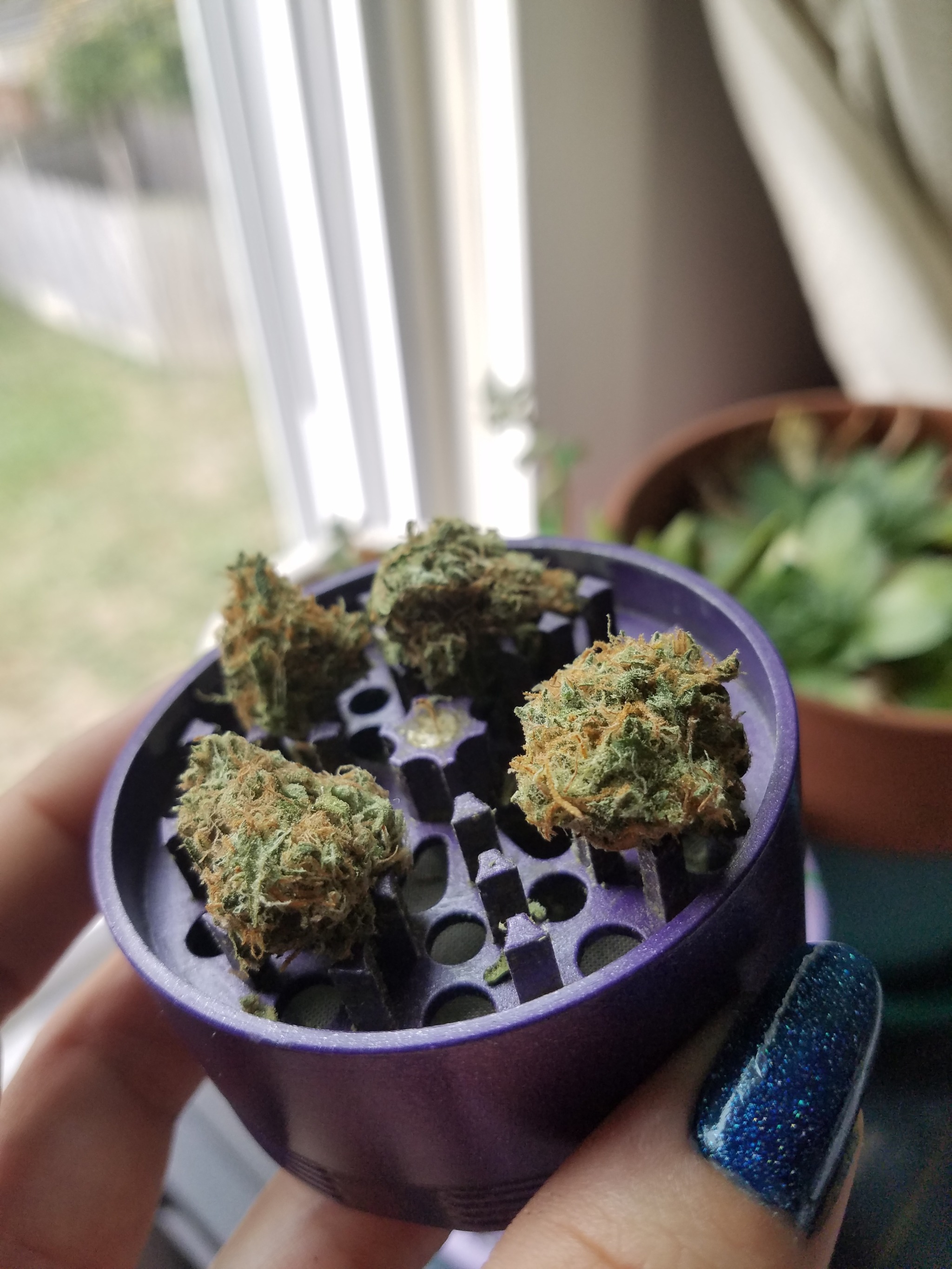 bre-is-stoned:Wanna smoke ? Owl pack a bowl or two 🦉