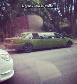 srsfunny:A True Green Carhttp://srsfunny.tumblr.com/