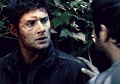 crossroadscastiel:  let me explain you a thing tumblr i ship these two assholes so