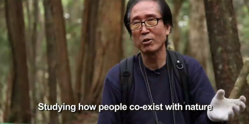 indie-moonlight: teenlifewasnotthebomb: From Vice’s mini documentary on the Suicide Forest in 