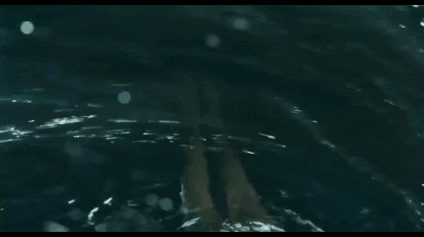 7091a8de6281d96f8cc6d2b240d7aa322d426c2f.gifv
