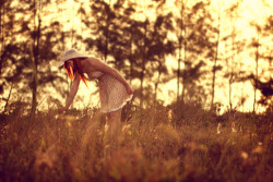 ohhdamn-little-wildroses:  ❀ 