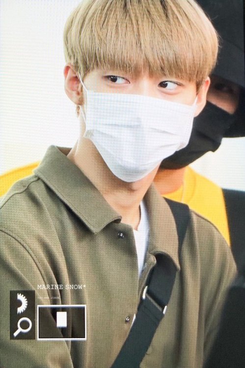 (Preview) 190930 HND © Marine Snow | do not edit ϟ do not crop