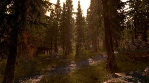 Wooded serenity…