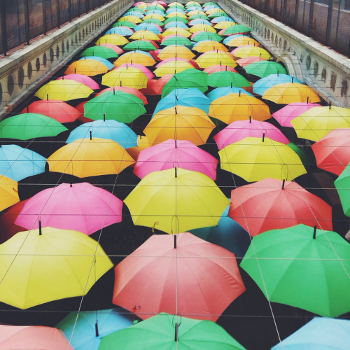 smallcamera:  Umbrellas. 