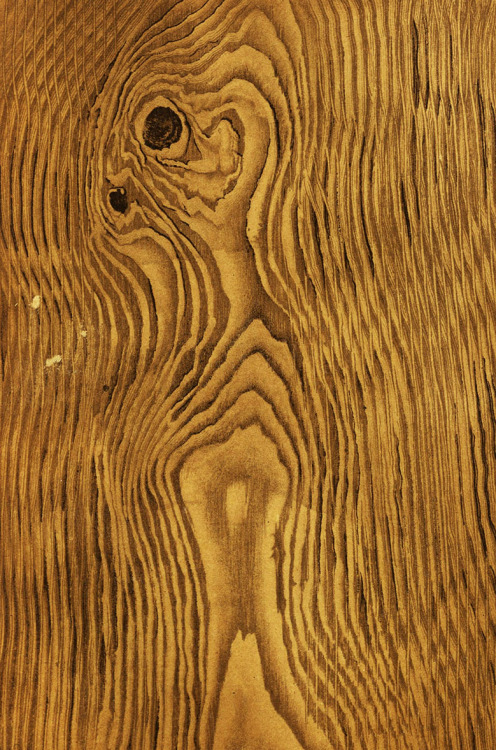 widenerlibrary: Gorgeous examples of painted wood grain from American Grainers Hand-book: A Popular 