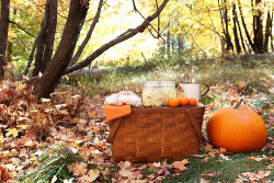 magicalautumn:  http://magicalautumn.tumblr.com I follow back all autumn themed blogs! :) 