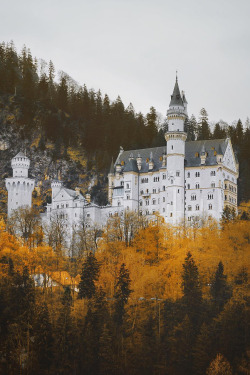 banshy:  Neuschwanstein Castle by: Andrea Caprini