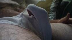 Chubbies and Curiosities