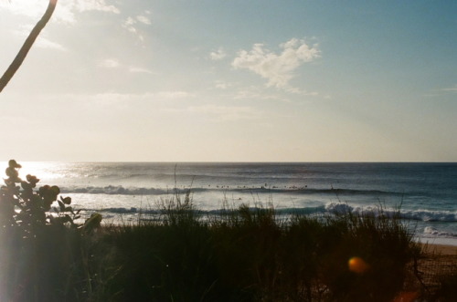 http://www.evanschell.com/Oahu 2018. 