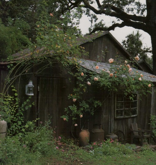 vintagehomecollection:California Cottages: Interior Design, Architecture &amp; Style, 1996