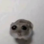 bringerofboops