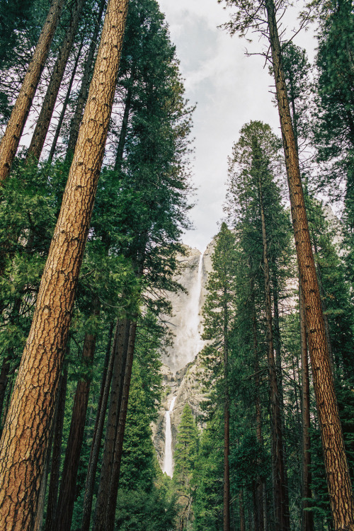 kaleidoscopeflowers:  eartheld:  mostly nature  ☯ ☯ ☯ 
