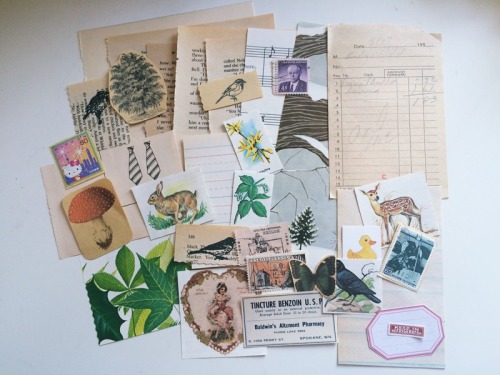 Nature & Vintage Ephemera Kit at Feel Good Parcel on Etsy