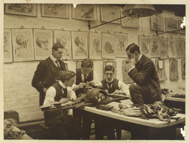 BLACK&amp;WHITE Students dissecting a cadaver, c. 1900.