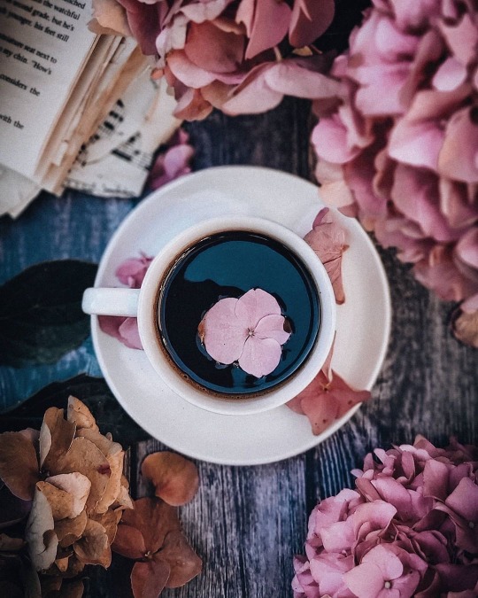 fsxyali4:fleur-aesthetic:instagram | coconatatata Simple black cup coffee . None of that freaky looking Shit 