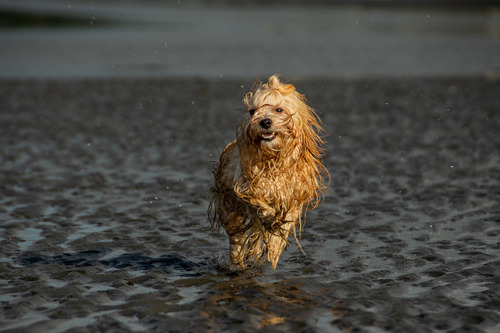 And the final series from Lewis beach adventure. These faces he&rsquo;s making here are too funny n